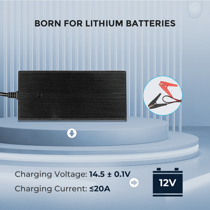 12V 20A AC to DC Lithium Iron Phosphate Battery Charger