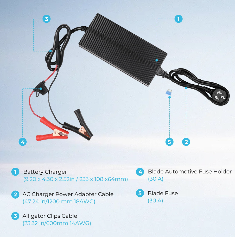 12V 20A AC to DC Lithium Iron Phosphate Battery Charger