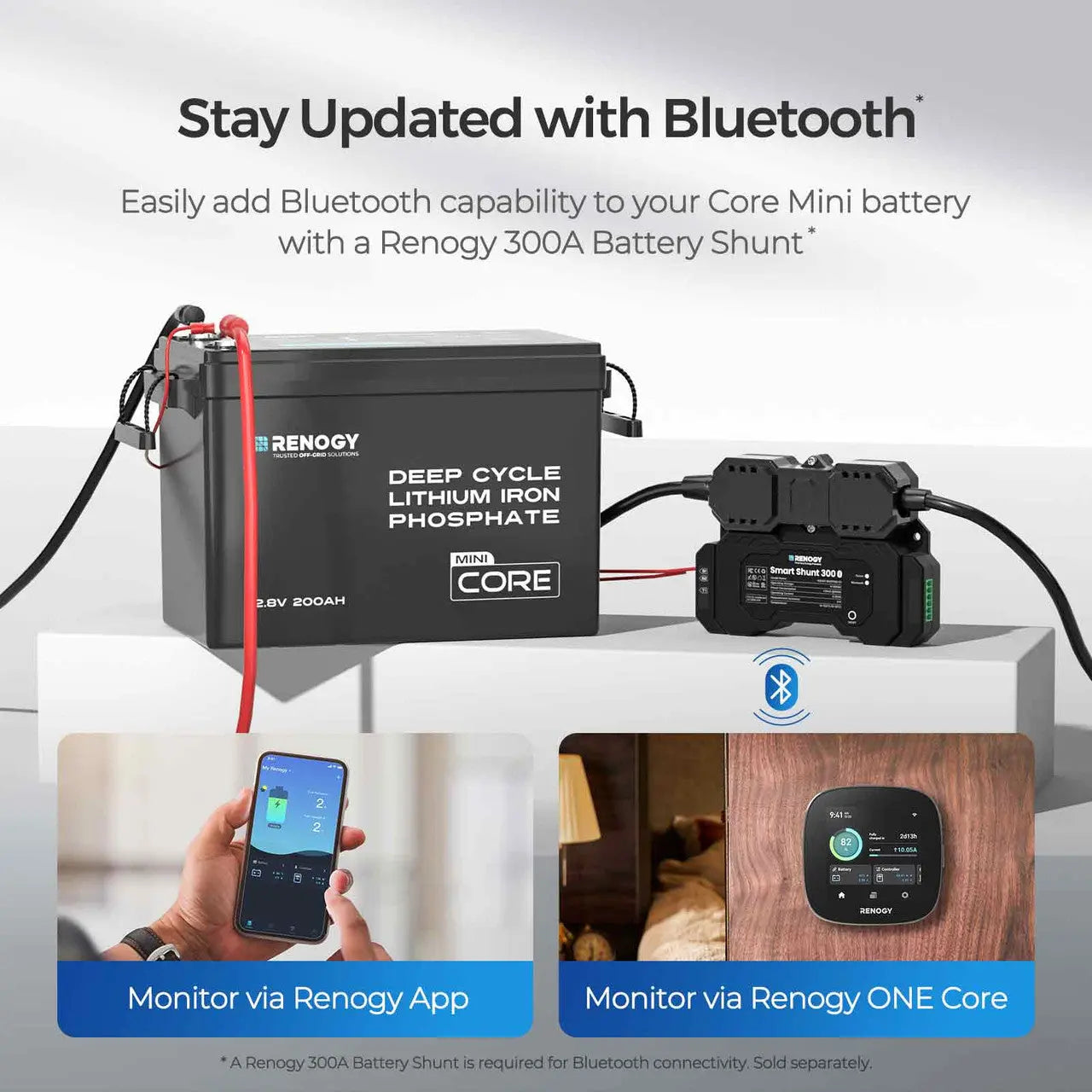 Renogy Core Mini 12.8V 200Ah Lithium Iron Phosphate