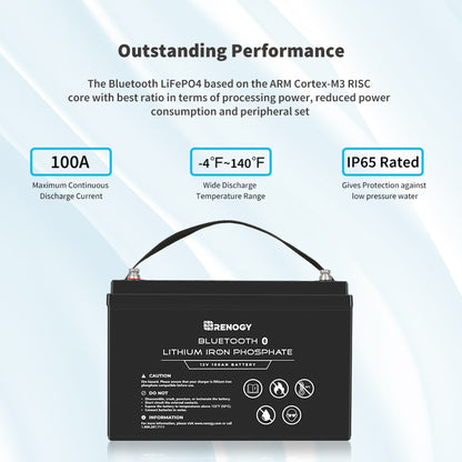 12V 100Ah Lithium Iron Phosphate Battery w/ Bluetooth