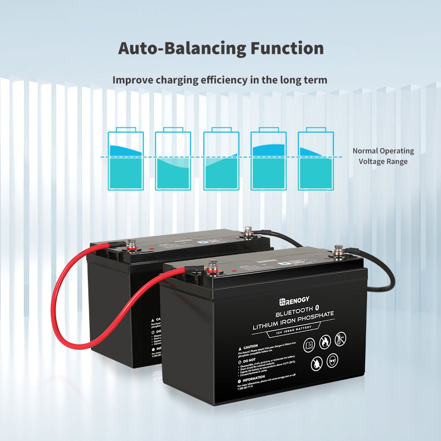 12V 100Ah Lithium Iron Phosphate Battery w/ Bluetooth