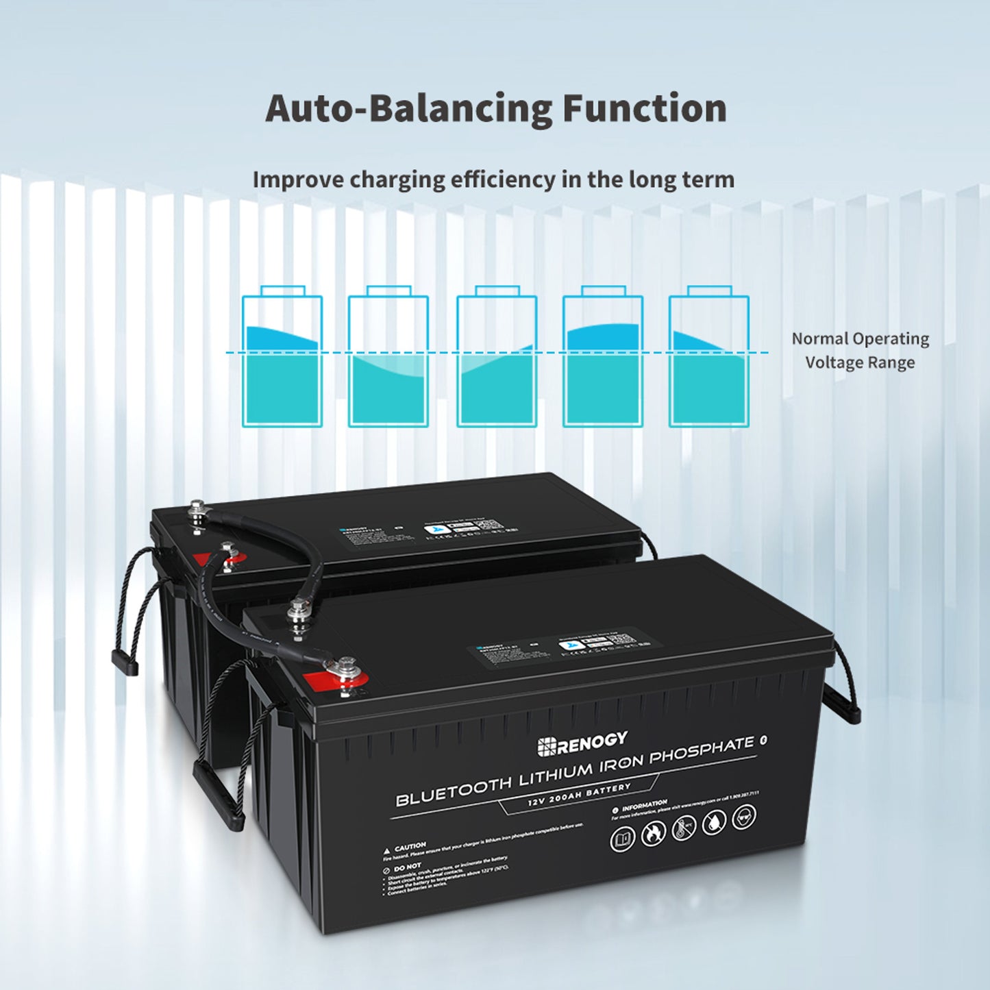 12V 200Ah Lithium Iron Phosphate Battery w/ Bluetooth